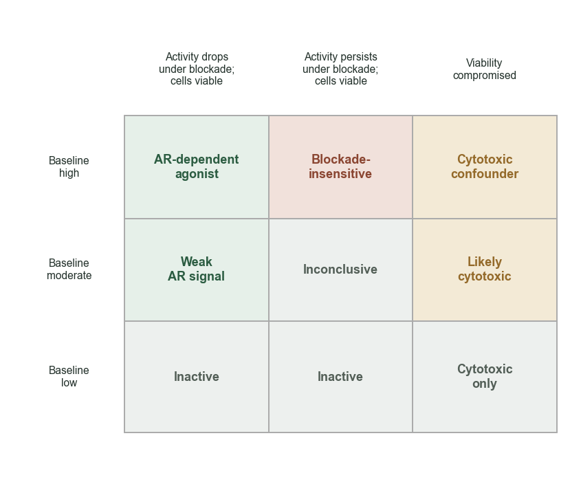 AR decision matrix: Baseline high + Activity drops under blockade + cells viable = AR-dependent agonist; Baseline high + Activity persists under blockade + cells viable = Blockade-insensitive; Baseline high + Viability compromised = Cytotoxic confounder; etc.